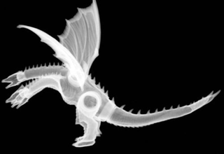 Illustration for article titled This Is What Toys Look Like When You X-Ray Them